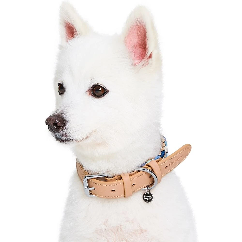 Braided Full Grain Leather Dog Collar For Stylish Pets 3 Braided Full Grain Leather Dog Collar For Stylish Pets - Image 3