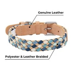 Braided Full Grain Leather Dog Collar For Stylish Pets 20 Braided Full Grain Leather Dog Collar For Stylish Pets -Dog & Cat Store 1040414068 5 3
