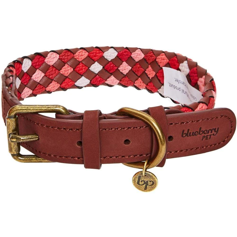 Braided Full Grain Leather Dog Collar For Stylish Pets 9 Braided Full Grain Leather Dog Collar For Stylish Pets - Image 9