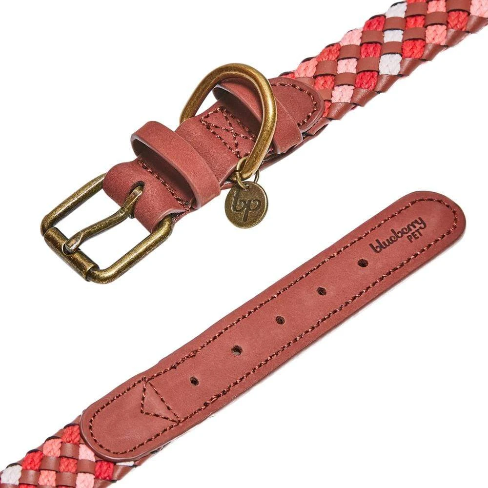 Braided Full Grain Leather Dog Collar For Stylish Pets 14 Braided Full Grain Leather Dog Collar For Stylish Pets - Image 14