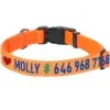 Personalized Dog Collar With Pet Name And Phone, Yellow -Dog & Cat Store 1040818040 1 2 df1e52aa a279 4cfe 9c6f 56294705e6c6