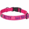 Personalized Dog Collar With Pet Name And Phone Pink Red