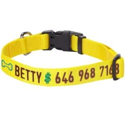 Personalized Dog Collar With Pet Name And Phone, Yellow -Dog & Cat Store 1040822047 1 2 0db16a16 ddc4 4f5f a0f3 9f35310d898d