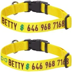 Personalized Dog Collar With Pet Name And Phone, Yellow -Dog & Cat Store 1040822047 1 2 b22dadc4 ac15 4be7 b0ce 5d64f9ec9001