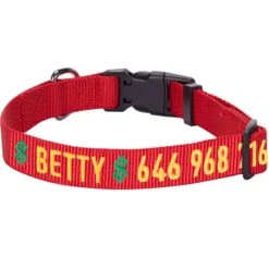 Personalized Dog Collar With Pet Name And Phone Pink Red -Dog & Cat Store 1040826045 1 2 5ba5e138 0b0f 4924 82ca 15f40be4e0e9