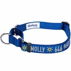 Nylon Personalized Martingale Safety Training Dog Collar Blue -Dog & Cat Store 1040864047 1 1