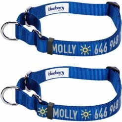 Nylon Personalized Martingale Safety Training Dog Collar Blue -Dog & Cat Store 1040864047 1 2 3c6a7bab 86cb 4ffd b828 09988407ba2a