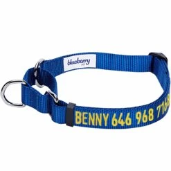 Nylon Personalized Martingale Safety Training Dog Collar Blue -Dog & Cat Store 1040864047 1 efb694f5 089a 4dff a5cf 360060073d5d