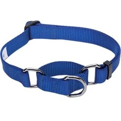 Nylon Personalized Martingale Safety Training Dog Collar Blue -Dog & Cat Store 1040864047 2 482f281d 2d90 46c4 b175 68e6e877c672