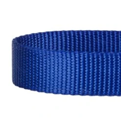 Nylon Personalized Martingale Safety Training Dog Collar Blue -Dog & Cat Store 1040864047 3 e5b1b8e0 2b6d 4d3c b474 7a17c3b51e61