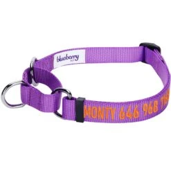 Nylon Personalized Martingale Purple Dog Collar For Puppies -Dog & Cat Store 1040865044 1 3c79249c 383b 458c bbec eea6651d105d