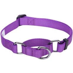 Nylon Personalized Martingale Purple Dog Collar For Puppies -Dog & Cat Store 1040865044 2 380c6a5d 6316 40bd af06 5f69a1bbdb48