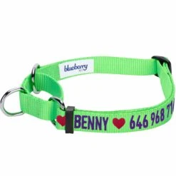 Nylon Personalized Martingale Safety Training Dog Collar Green -Dog & Cat Store 1040866041 1 1