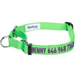 Nylon Personalized Martingale Safety Training Dog Collar Green -Dog & Cat Store 1040866041 1 14d7984c ea67 4a7c b5bb 8f8a7787cdfa