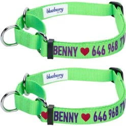 Nylon Personalized Martingale Safety Training Dog Collar Green -Dog & Cat Store 1040866041 1 2 3a2eb8e4 9da2 4075 a1c2 a2a5264f8c54