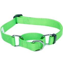 Nylon Personalized Martingale Safety Training Dog Collar Green -Dog & Cat Store 1040866041 2 15b6e04b acee 4c0c 96c0 9c74293c3c6c