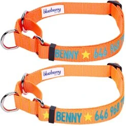 Nylon Personalized Martingale Safety Training Dog Collar Yellow -Dog & Cat Store 1040867048 1 2 466e6b94 6634 422b 8137 510919fbfff6