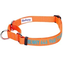 Nylon Personalized Martingale Safety Training Dog Collar Yellow -Dog & Cat Store 1040867048 1 79afb55a b492 4655 9c30 55626450c0e4