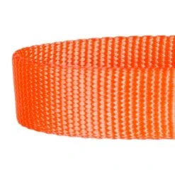 Nylon Personalized Martingale Safety Training Dog Collar Yellow -Dog & Cat Store 1040867048 3 af1e3daf a3af 4e28 897a 77368516eefc