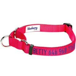Nylon Personalized Martingale Safety Training Dog Collar Pink Red For Puppy Girl -Dog & Cat Store 1040869042 1