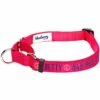 Nylon Personalized Martingale Safety Training Dog Collar Pink Red For Puppy Girl -Dog & Cat Store 1040869042 1 1 4ecfc3b7 bbf7 4c01 b2ea 19692aef0f44