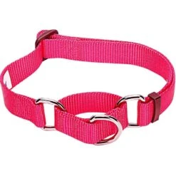 Nylon Personalized Martingale Safety Training Dog Collar Pink Red For Puppy Girl -Dog & Cat Store 1040869042 2