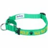 Nylon Personalized Martingale Safety Training Dog Collar Green