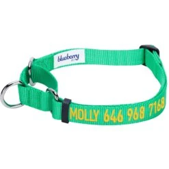 Nylon Personalized Martingale Safety Training Dog Collar Green -Dog & Cat Store 1040870048 1 40a3a551 fec0 444d ae4b ced4ca9122b1