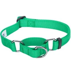 Nylon Personalized Martingale Safety Training Dog Collar Green -Dog & Cat Store 1040870048 2 f55daa14 629c 40eb a730 6714456466ca