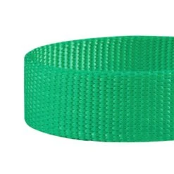 Nylon Personalized Martingale Safety Training Dog Collar Green -Dog & Cat Store 1040870048 3 59107b8c bb9f 423e 924f c33de62c5e80