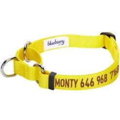 Nylon Personalized Martingale Safety Training Dog Collar Yellow -Dog & Cat Store 1040871045 1 52a1e7bf 01e6 4980 8446 4bed2e571822