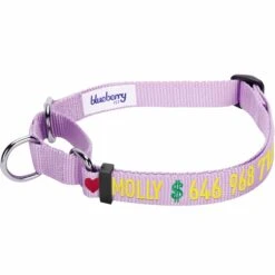 Nylon Personalized Martingale Purple Dog Collar For Puppies -Dog & Cat Store 1040873049 1 1 ce88b8fb 059e 47b0 9912 930c36c05b3c