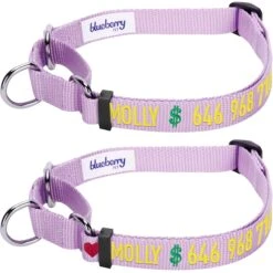 Nylon Personalized Martingale Purple Dog Collar For Puppies -Dog & Cat Store 1040873049 1 2 89a79bb4 da86 44fe 98c7 181ed549c4f2
