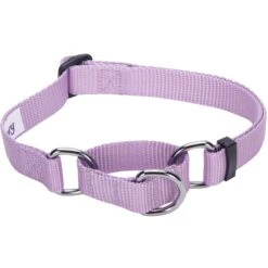 Nylon Personalized Martingale Purple Dog Collar For Puppies -Dog & Cat Store 1040873049 2 cf1dce93 8712 4c99 a8dd 65dc8417cef1