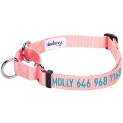 Nylon Personalized Martingale Safety Training Dog Collar Pink Red For Puppy Girl -Dog & Cat Store 1040874046 1