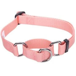 Nylon Personalized Martingale Safety Training Dog Collar Pink Red For Puppy Girl -Dog & Cat Store 1040874046 2
