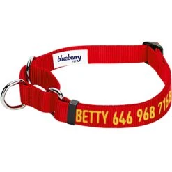 Nylon Personalized Martingale Safety Training Dog Collar Pink Red For Puppy Girl -Dog & Cat Store 1040875043 1