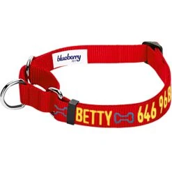 Nylon Personalized Martingale Safety Training Dog Collar Pink Red For Puppy Girl -Dog & Cat Store 1040875043 1 1 8423df7b 0a8a 4107 9cb6 4affdde09739