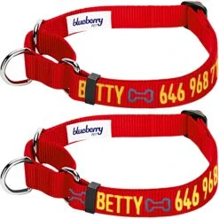 Nylon Personalized Martingale Safety Training Dog Collar Pink Red For Puppy Girl -Dog & Cat Store 1040875043 1 2 f2a16c51 082a 428c 9f39 26ea691173e7