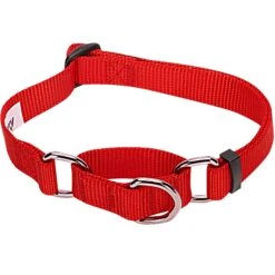 Nylon Personalized Martingale Safety Training Dog Collar Pink Red For Puppy Girl -Dog & Cat Store 1040875043 2