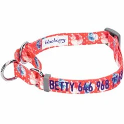 Personalized Petal Paws Floral Martingale Safety Training Dog Collar 38 Personalized Petal Paws Floral Martingale Safety Training Dog Collar -Dog & Cat Store 1040879041 1