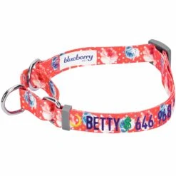 Personalized Petal Paws Floral Martingale Safety Training Dog Collar 36 Personalized Petal Paws Floral Martingale Safety Training Dog Collar -Dog & Cat Store 1040879041 1 1