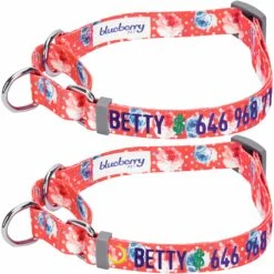 Personalized Petal Paws Floral Martingale Safety Training Dog Collar 37 Personalized Petal Paws Floral Martingale Safety Training Dog Collar -Dog & Cat Store 1040879041 1 2 abb7fad1 2d86 4c40 b0dd 80ad864597df