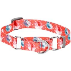 Personalized Petal Paws Floral Martingale Safety Training Dog Collar 39 Personalized Petal Paws Floral Martingale Safety Training Dog Collar -Dog & Cat Store 1040879041 2