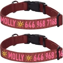 Personalized Dog Collar With Pet Name And Phone Pink Red -Dog & Cat Store 1040884045 1 2 08e9c941 f55f 4b2f b6ac fefc2fd09fbb