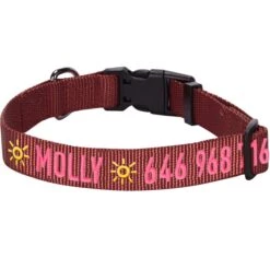 Personalized Dog Collar With Pet Name And Phone Pink Red -Dog & Cat Store 1040884045 1 2 bffadaf2 f849 45e4 915f f47cdb049d3a
