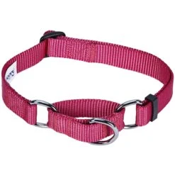 Nylon Personalized Martingale Purple Dog Collar For Puppies -Dog & Cat Store 1040894044 2 94cbdc46 8dd9 4a62 bb57 40feb45f8017