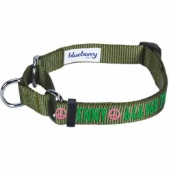 Nylon Personalized Martingale Safety Training Dog Collar Green -Dog & Cat Store 1040896048 1 1