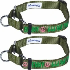 Nylon Personalized Martingale Safety Training Dog Collar Green -Dog & Cat Store 1040896048 1 2 f46fe3d3 c4bf 4fd0 bb75 dd3858988473
