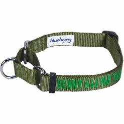Nylon Personalized Martingale Safety Training Dog Collar Green -Dog & Cat Store 1040896048 1 3b0e5ce0 e13f 4ca9 8484 c892c43e6d0e